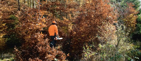 Es folgt eine Bildbeschreibung:
Das Bild zum Thema Biotopmanagement zeigt einen Forstarbeiter in signal-orangefarbener Sicherheitsbekleidung in einem herbstlichen Waldstück. Er trägt einen Schutzhelm, Handschuhe und eine orangene Kettensäge. Ende der Bildbeschreibung