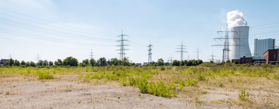 Ein weitläufiges, unbebautes Gelände mit spärlichem Grasbewuchs und kleinen Sträuchern. Im Hintergrund stehen mehrere Strommasten mit zahlreichen Leitungen, die den Himmel durchziehen. Rechts im Bild ist ein großes Kraftwerk mit einem markanten Kühlturm zu sehen, aus dem weißer Dampf aufsteigt. Das Wetter ist sonnig mit einem klaren blauen Himmel.