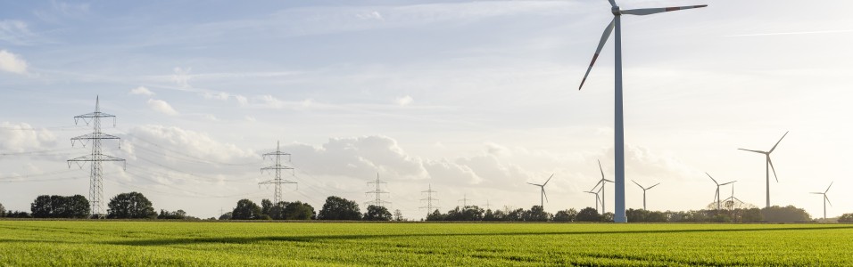 Eine grüne Wiese bei wolkemlosen Himmel. Im Hintergrund ein Windrad, Strommasten und einige Bäume.