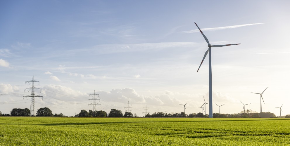 Eine grüne Wiese bei wolkemlosen Himmel. Im Hintergrund ein Windrad, Strommasten und einige Bäume.